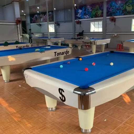 BÀN BIDA LỖ/POOL TONARDO 9017 - Ảnh 2