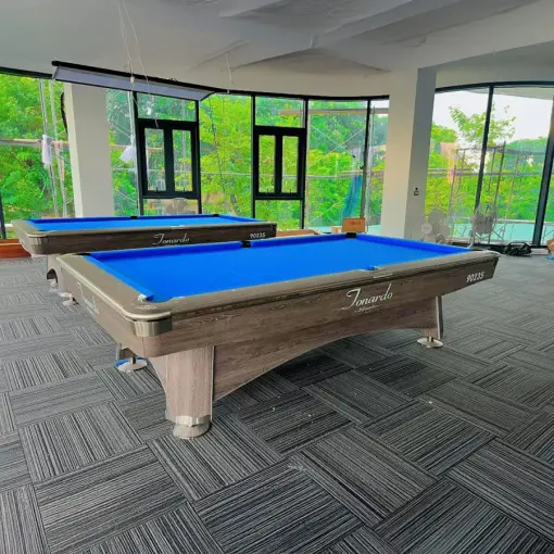 BÀN BIDA LỖ/POOL TONARDO 9023 - Ảnh 2