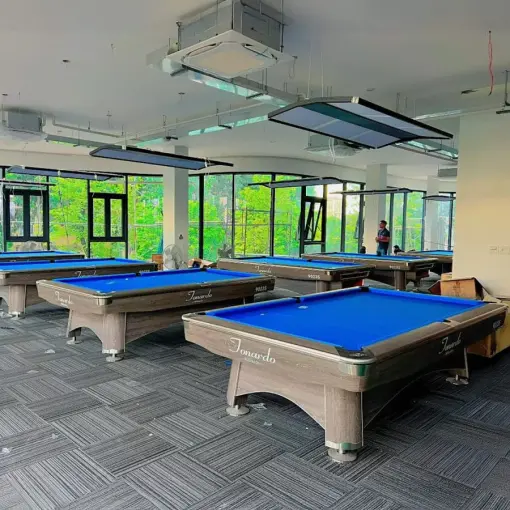 BÀN BIDA LỖ/POOL TONARDO 9023 - Ảnh 4