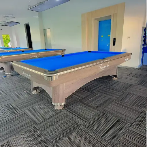 BÀN BIDA LỖ/POOL TONARDO 9023 - Ảnh 3