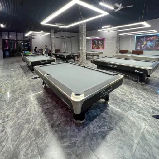 BÀN BIDA LỖ/POOL TONARDO CAMEL - Ảnh 4