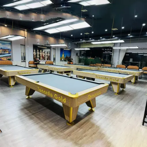 BÀN BIDA LỖ/POOL TONARDO GOLD 9024 - Ảnh 3