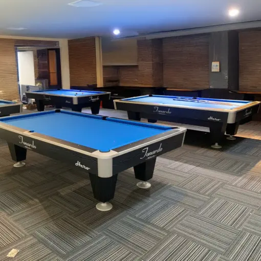 BÀN BIDA LỖ/POOL TONARDO HERO - Ảnh 4
