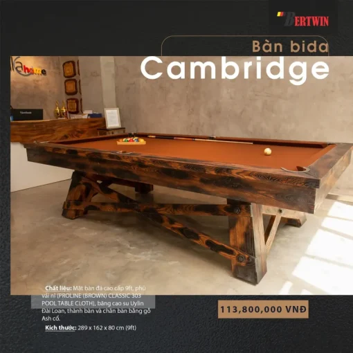 BÀN BIDA LỖ CAMBRIDGE - Ảnh 3