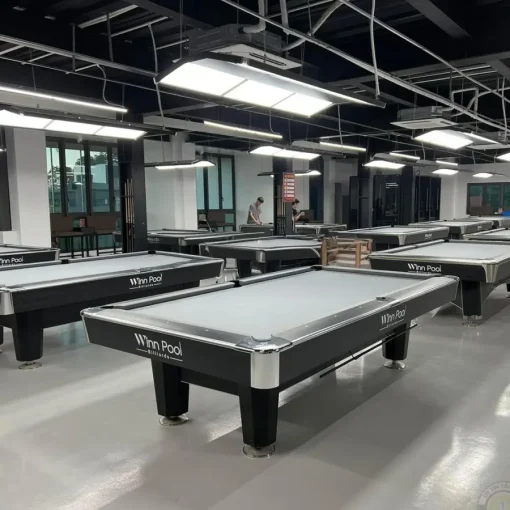 BÀN BIDA LỖ/POOL WINNPOOL SPECIAL - Ảnh 2