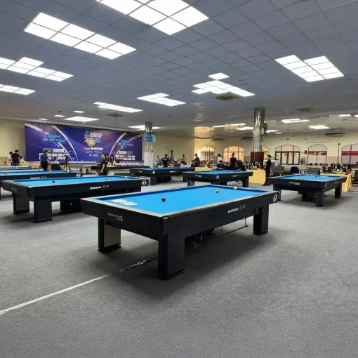 BÀN BIDA 3C/CAROM MIN INNOVATION - Ảnh 4