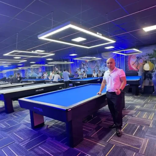 BÀN BIDA 3C/CAROM MIN INNOVATION - Ảnh 2