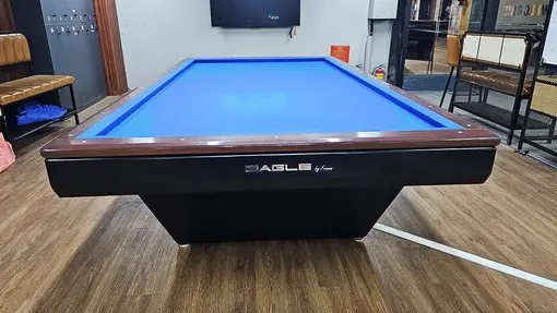 BÀN BIDA 3C EAGLE FROMM - Ảnh 6