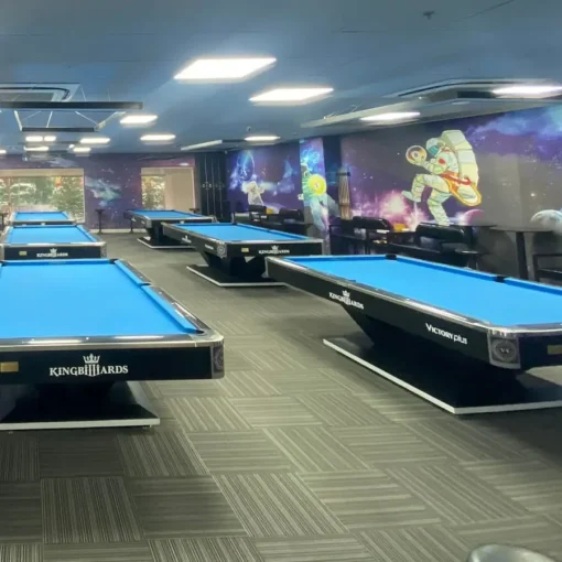 BÀN BIDA LỖ KING VICTORY PLUS - Ảnh 3