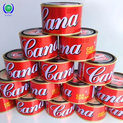 CA NA ĐÁNH BÓNG BI (NHỎ) - Ảnh 2