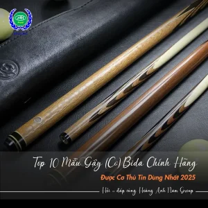 Top 10 mẫu cơ bida chính hãng đáng sở hữu nhất | Bida Hoàng Anh Nam Group