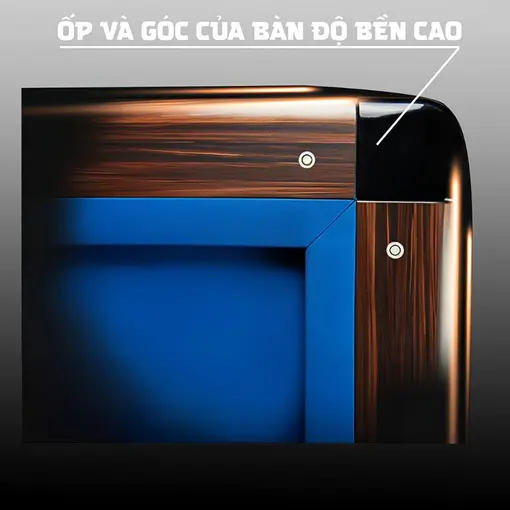 BÀN BIDA 3C HOLLYWOOD PROAM ALPHA VIỆT NAM - Ảnh 3